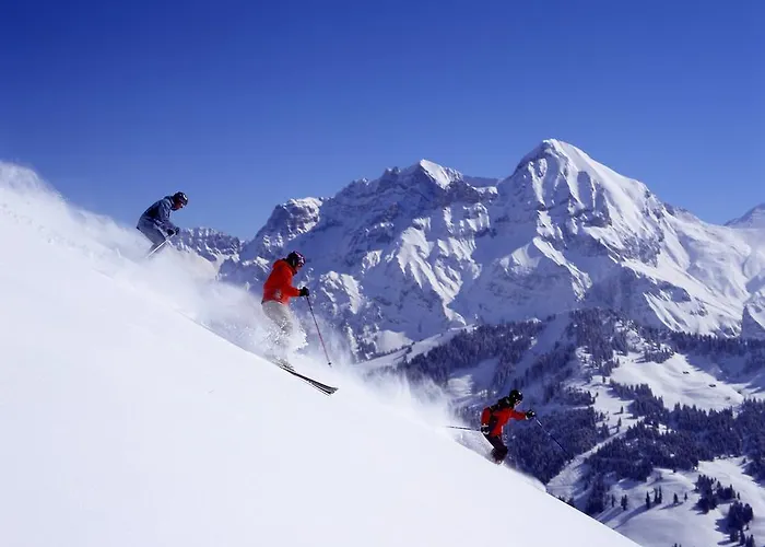 Apartment Zentrum Og Adelboden